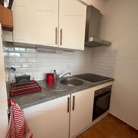 Appartamento 2ro601e Agreable T2 Cabine Avec Grande Terrasse Parking Prive Vue Degagee Collioure