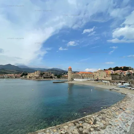 2ro601e Agreable T2 Cabine Avec Grande Terrasse Parking Prive Vue Degagee Appartamento Collioure